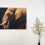 شقة Dreamy Alameda *
